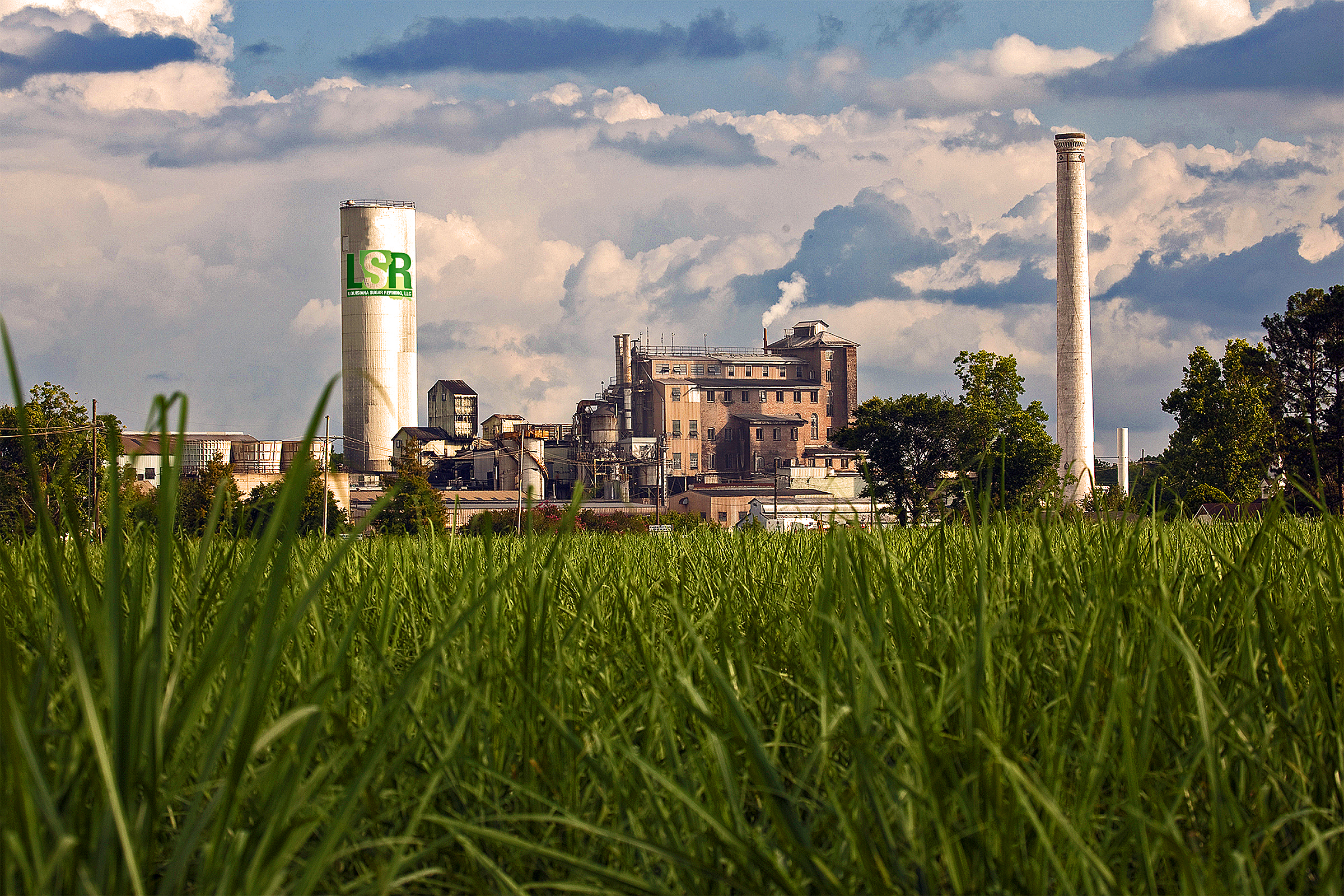 Louisiana Sugar Refining creates LSU College of Agriculture scholarship